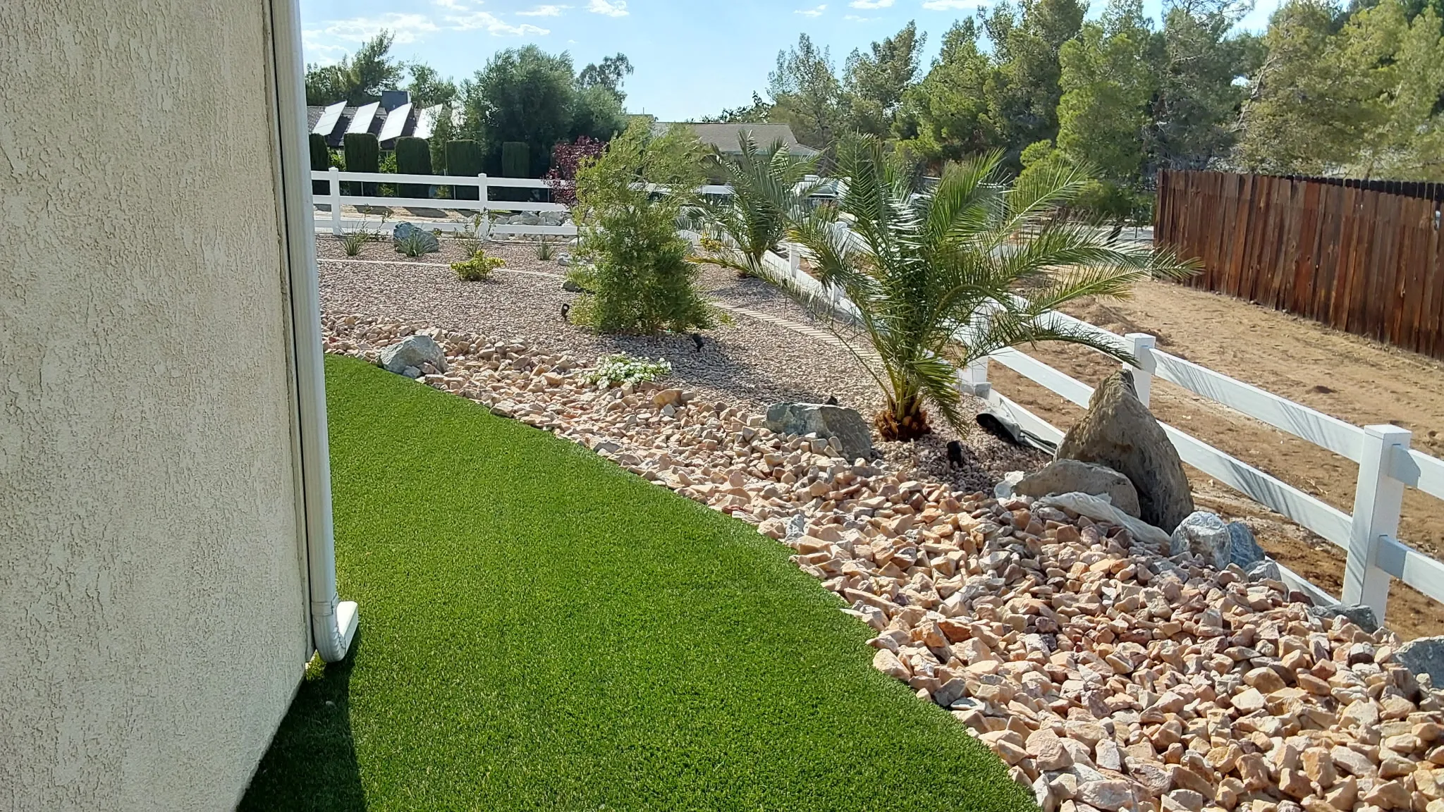 Decorative rock bed with boulders and a young palm along a turf edge