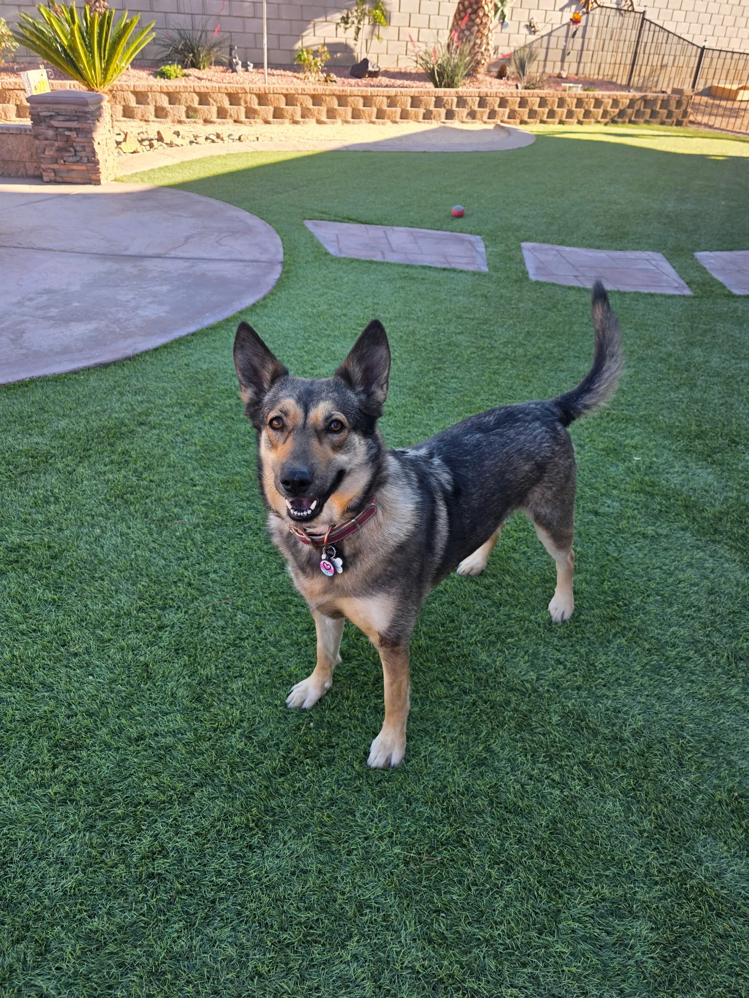 Pet-friendly backyard artificial grass with stepping stones