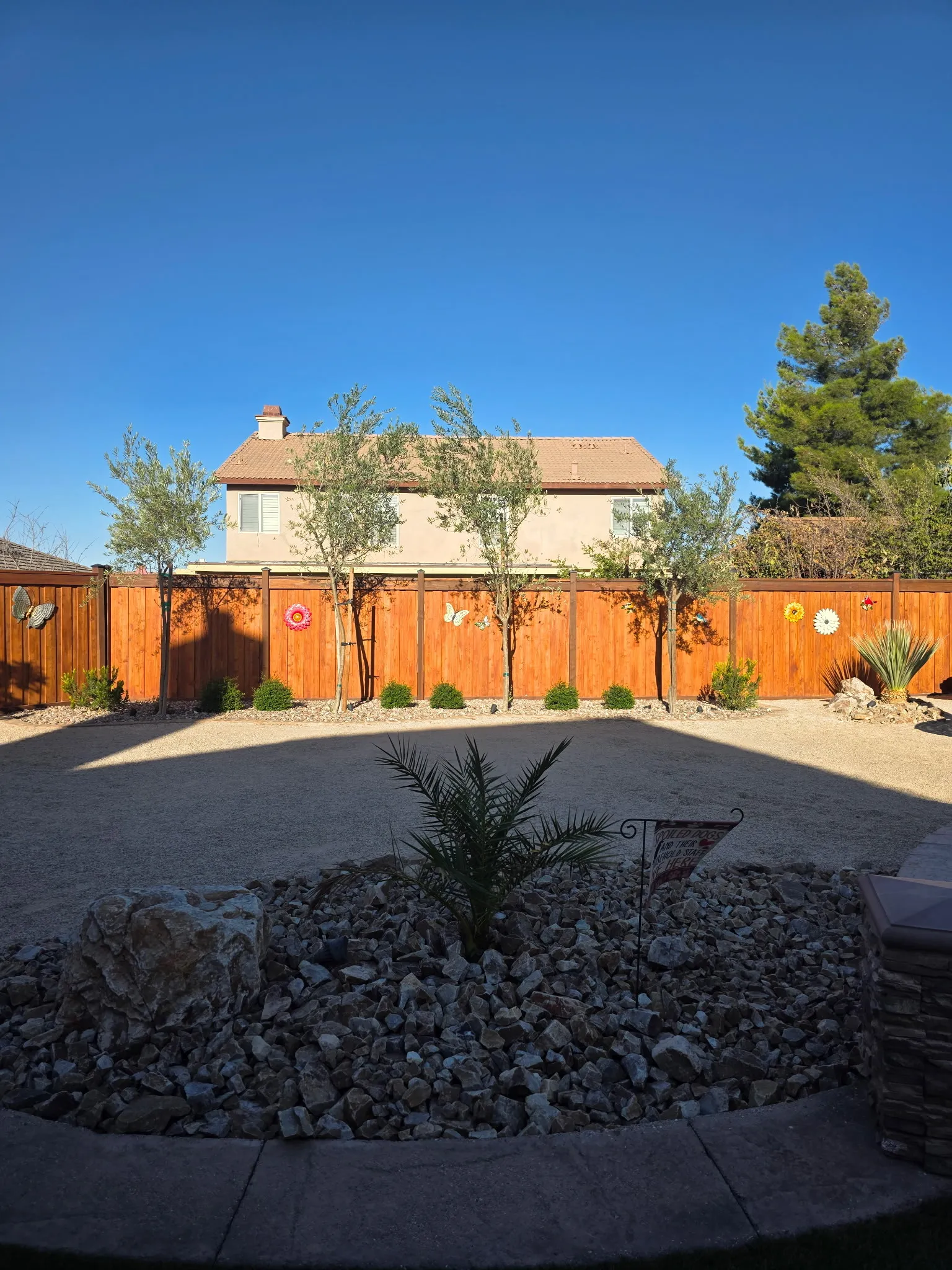 Wood privacy fence with newly planted trees and desert rockscape