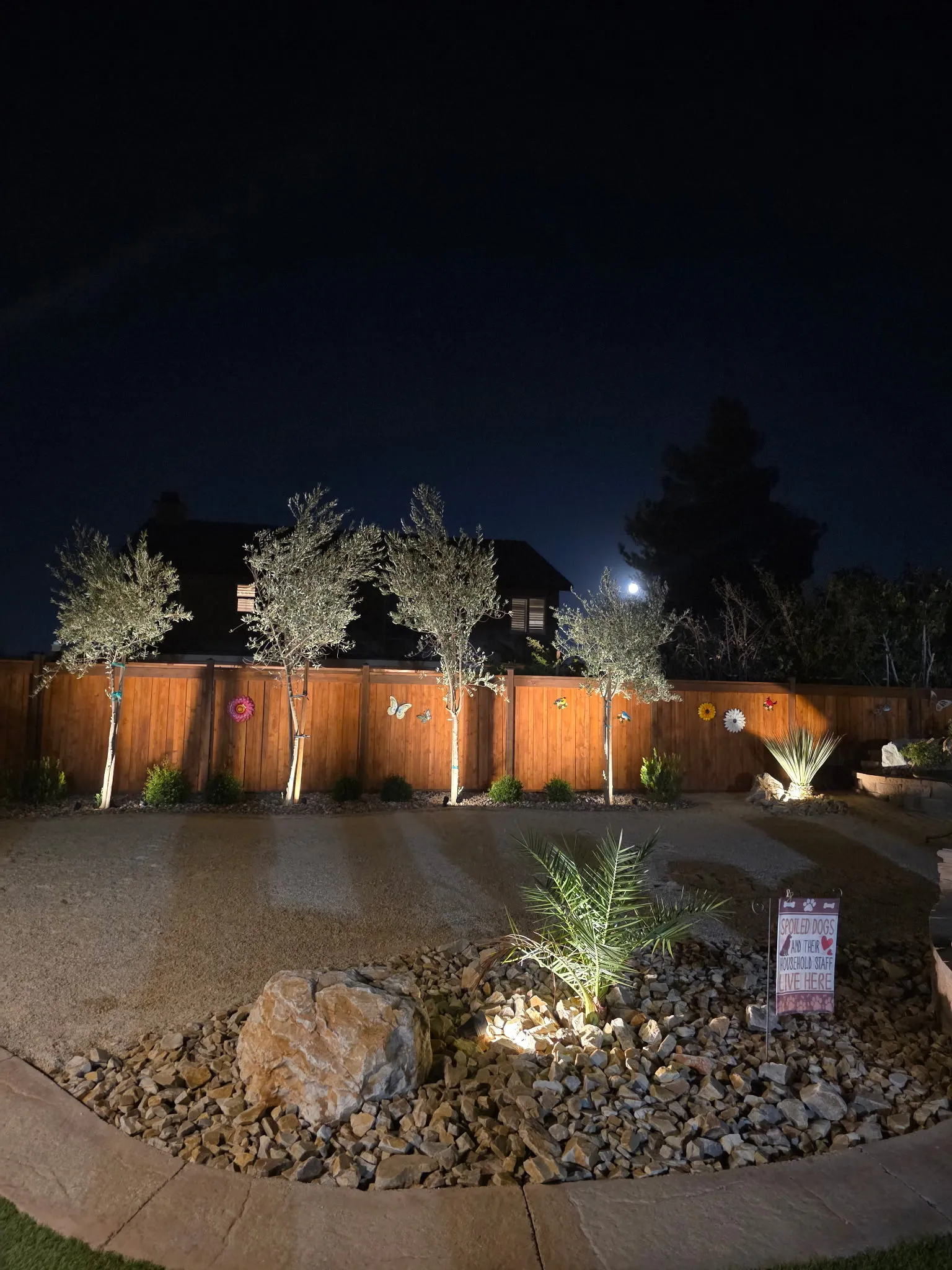 Wood fence, trees, and desert landscaping illuminated at night
